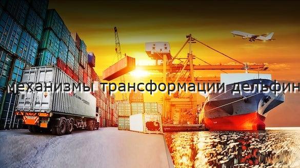 механизмы трансформации дельфин