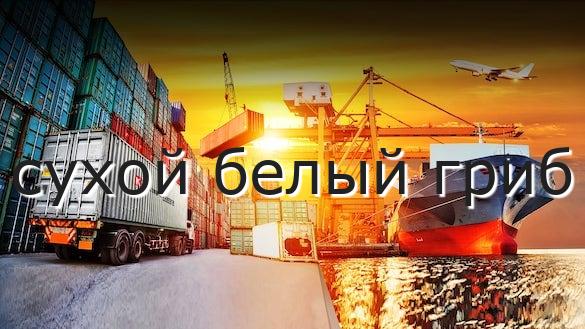 сухой белый гриб