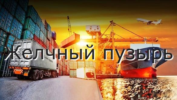 Желчный пузырь